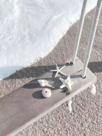 宇宙中心：飛鳥(niǎo)和蟬