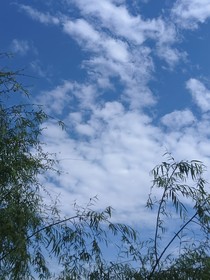 调酒师与盗墓大佬们