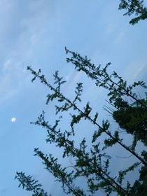 不朽仙帝：絕脈重臨