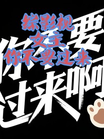 綜影視：女主你不要過來