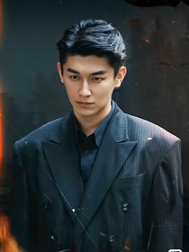 狮城山海：雁字回时