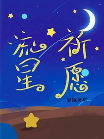 流星祈愿
