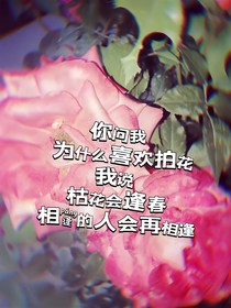 栀子花未央