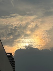 重生后高冷前妻狂追我