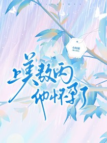 上美敖丙：他hy了