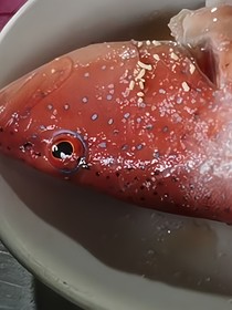 懒闲的他