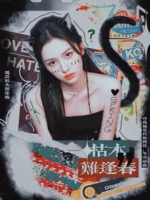 黃子弘凡：愛一場驚虹