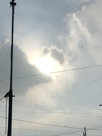 萬海八荒