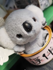 读书笔记，作文等分享