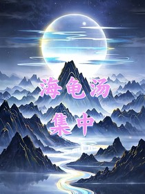 海龜湯集中