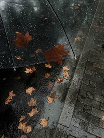 不要走，好不好，我只有你了