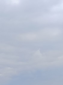 究惑x直播體