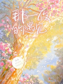 那一夜的遇見