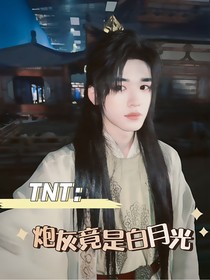 TNT：炮灰竟是白月光