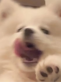 综影视：拯救破碎的他