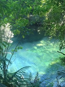 重拾朝花