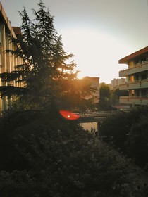 來自夏夜的繁星