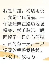 沉默守护者竟是只布偶猫