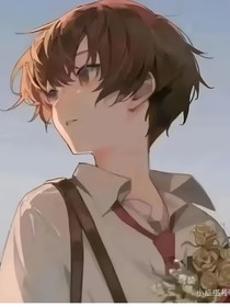 查理九世黑暗中的光芒
