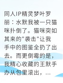 从同人文作者到叶罗丽真人女主