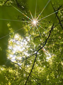 你来时骄阳正好