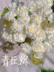 青丘烬