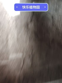 我的搞笑