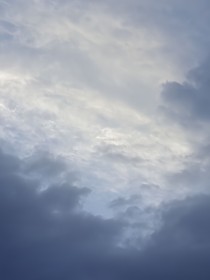 被沒有血緣關(guān)系的哥哥帶回了家