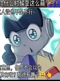 伽小书