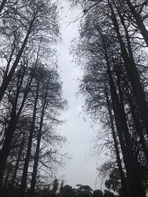 伽小：一个又一个随笔