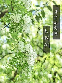 命中注定的是我们