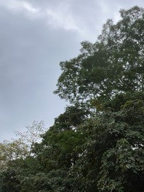 恐懼吶喊