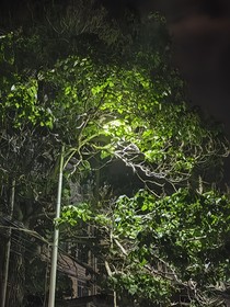 破尧