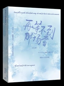 再等不到那場雪
