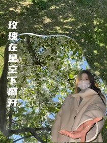 玫瑰在星空下盛開