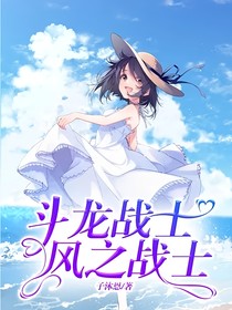 斗龙战士风之战士