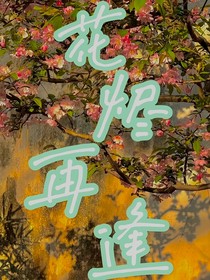 花燼再逢