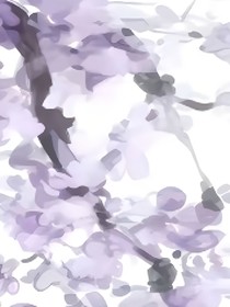 橙默