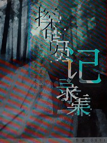 探查员记录集