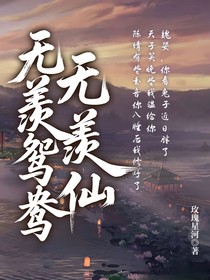 陈情令：无羡鸳鸯无羡仙