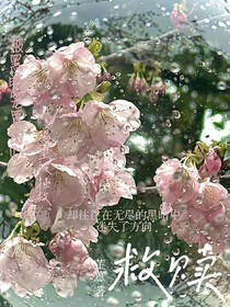 我化作星星成為你的救贖