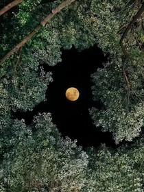 他死后的幻想