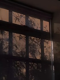 随笔大乱炖