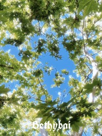 蝉鸣中断的夏天