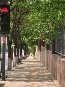 风林时季