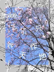武魂殿：三小只作天作地