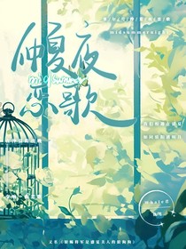 賽爾號：仲夏夜戀歌