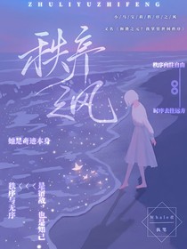 小马宝莉：秩序之风