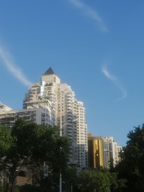 夏末盛開(kāi)