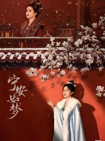 宁安如梦岁月
